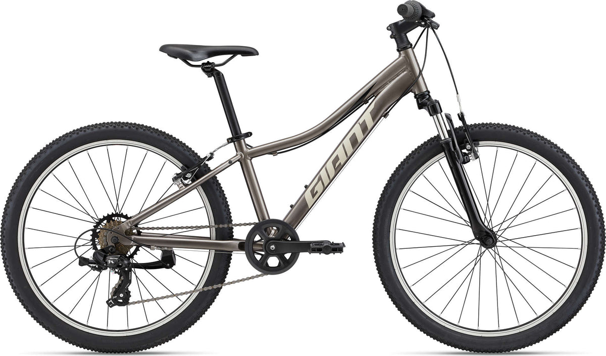 Giant xtc jr 24 ice green discount